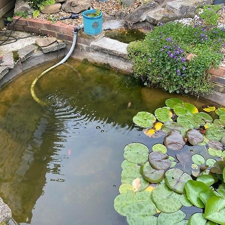 פורלי Pond Cottage מראה חיצוני תמונה